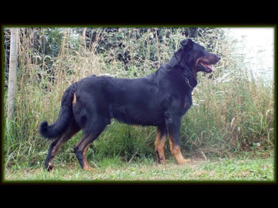 ERODE d ela cité des Bas-Rouges