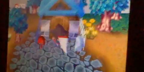 [TUTO] Comment Bien entretenir sa ville dans Animal Crossing DS ?