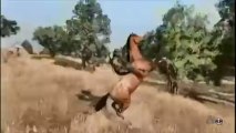 Red Dead Redemption Gameplay Messing About vid 1