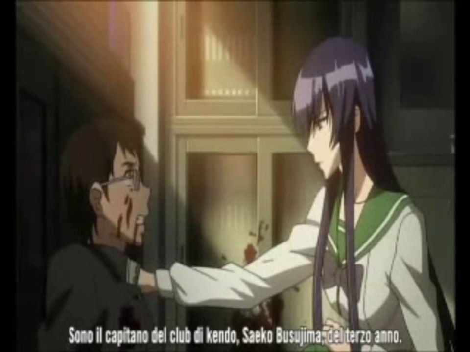 [Provini FDW] Saeko Busujima (High School of the Dead)