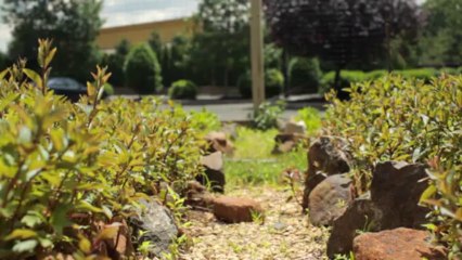 Dancing Goat Farm at Stone House