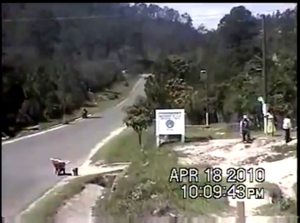 How Every Illegal Should Enter the USA