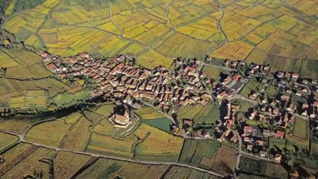 Discovering Alsace Wines with Joanna Simon : Pinot Blanc and Riesling (Episode 2)