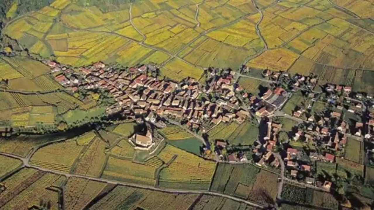 Discovering Alsace Wines with Joanna Simon : Pinot Blanc and Riesling  (Episode 2)