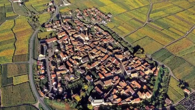 Discovering Alsace Grands Crus with Joanna Simon part 1 (Episode 04)