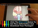 Martha Stewart Human Anatomy Course   Human Brain Anatomy Course
