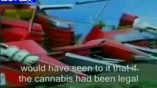 partie 1 conspiration contre le cannabis (english subtitles)