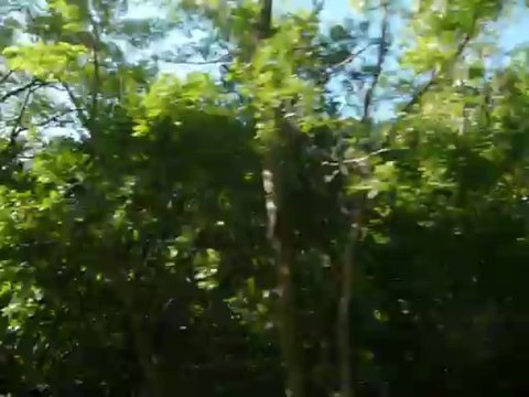 descente du col d'allos