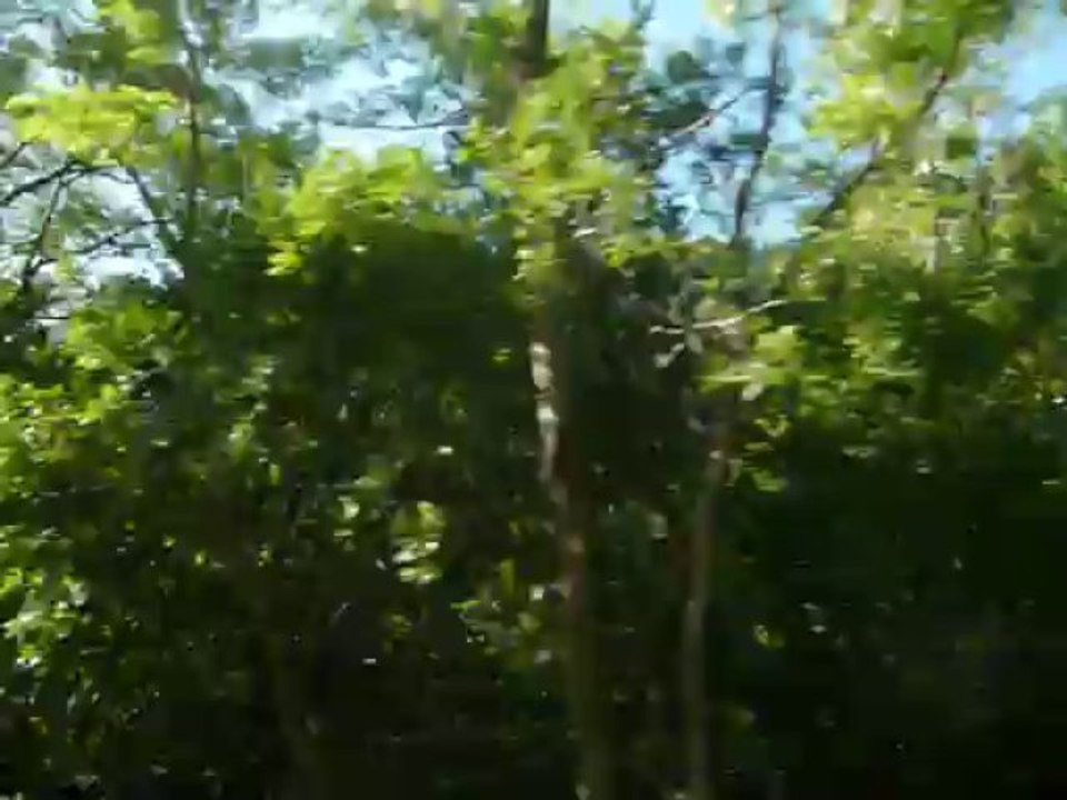 descente du col d'allos