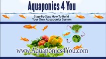 Aquaponics 4 You -- Step-By-Step How To Build Your Own Aquaponics System