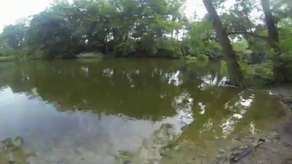 mit kessy im Park und am wasser