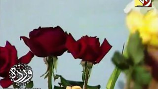 وردة - سلامتك ياحـــبى | من مسلسل أوراق الورد 1979