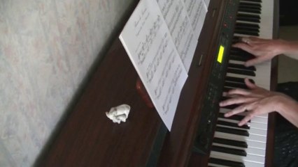 Thème de Savina - P.Mencarelli