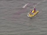 Ballena jorobada queda atrapada en una red para tiburones