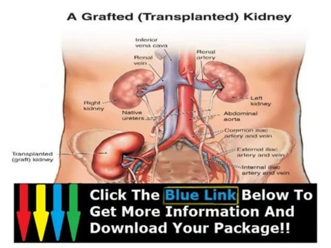 Human Anatomy Courses Online + Human Anatomy Course Review