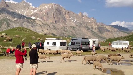 Col du Lautaret juillet 2013  (2)