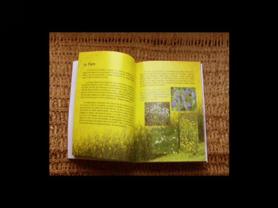 Famille CANN-Le Tréhou-cousinades 2012