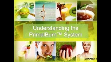 Primal Burn | Primal Burn Review