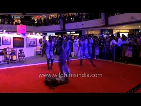 Marvelous stunts by the African Acrobats