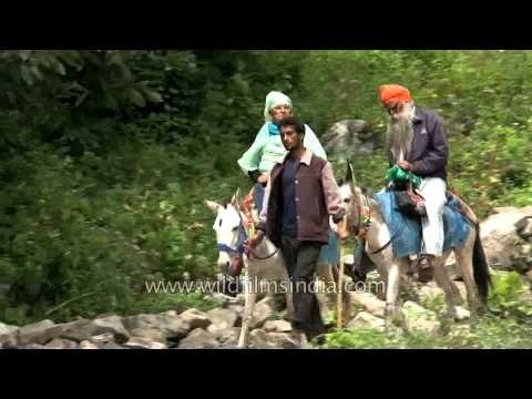 Sikh Pilgrims on the way to Sri Hemkunt Sahib