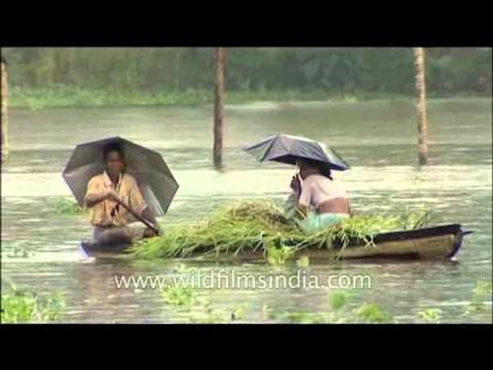 Boating in South Indian rains- Backwaters of Kerala