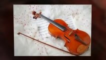 VIOLIN MASTER PRO | LEARN VIOLIN ONLINE