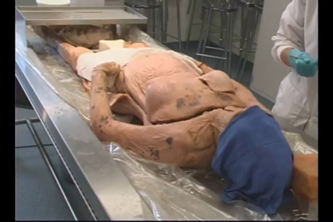 Human Anatomy dissection   1-Introduction