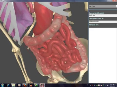 Virtual Body Systems(Human anatomy 3D) VC++