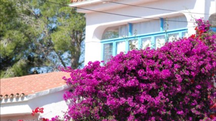 Film renouvellement voeux 29062013.wmv