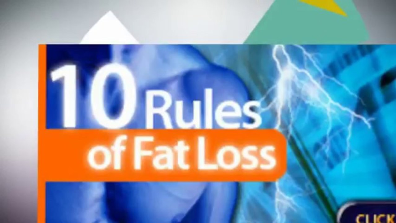 fat-loss-4-idiots-diet-handbook-login-video-dailymotion