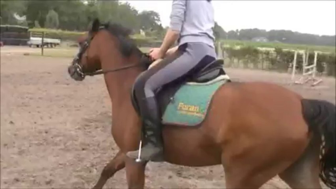 Pony promotie springen