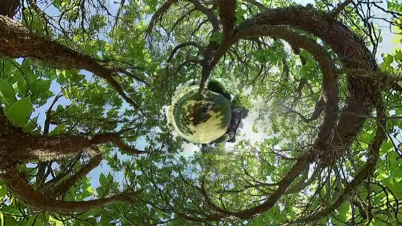 Trick Photography Book Review - Do the Best Special Effect Photographs