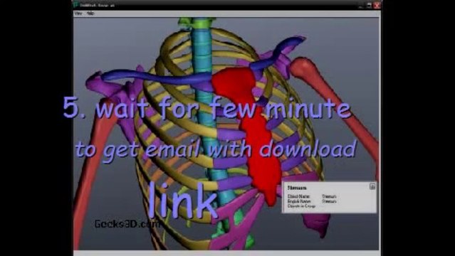 3d Human Body - DOWNLOAD 3D Human Anatomy Software FREE!