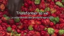 Bas-Congo - Transformer sa vie: valorisation des produits agricoles