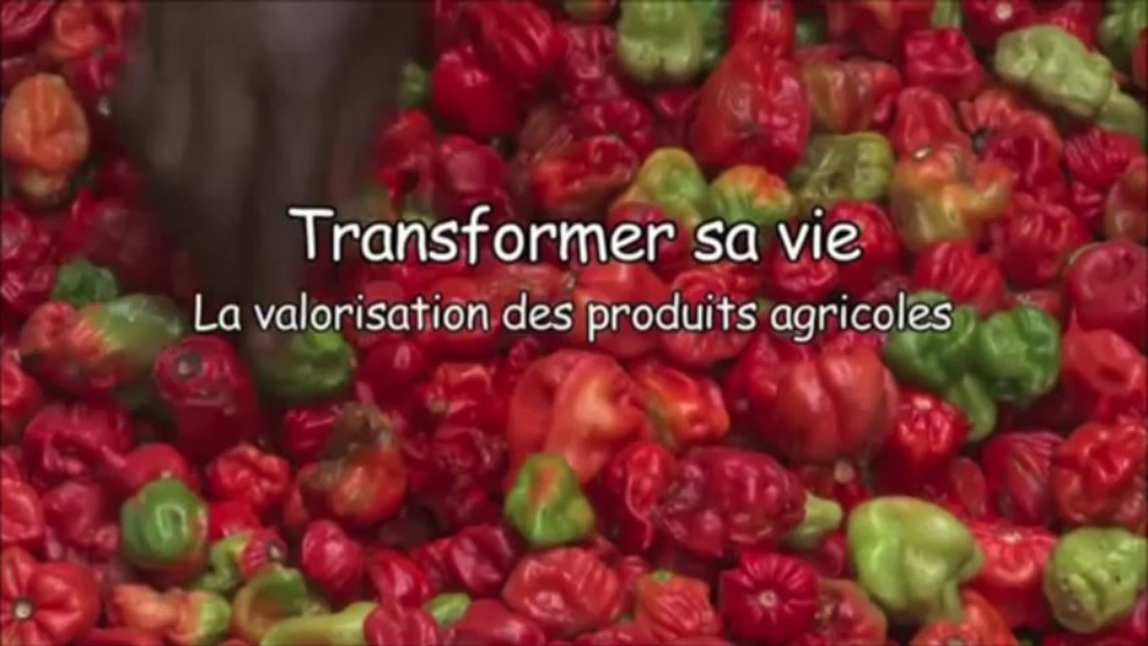 Bas-Congo - Transformer sa vie: valorisation des produits agricoles