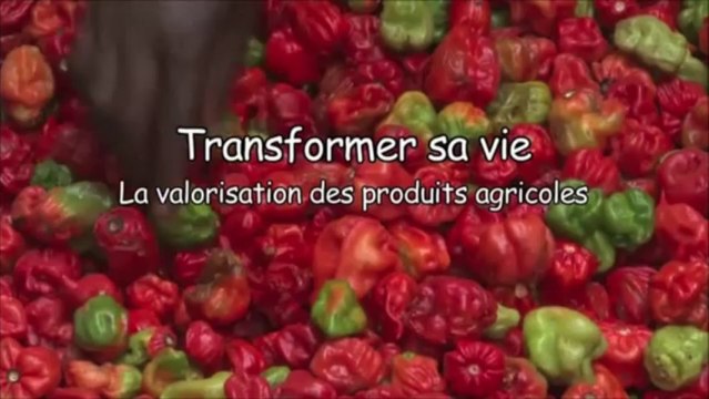 Bas-Congo - Transformer sa vie: valorisation des produits agricoles