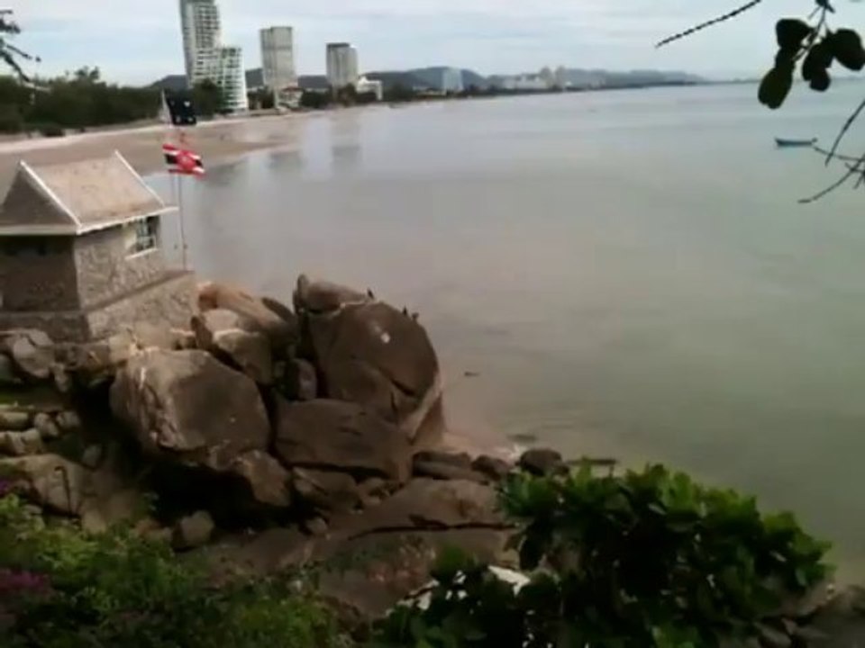 Des singes qui s'amusent à sauter dans l'eau