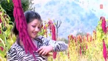 Chakka Chundari Video Song Heera Samdhini - Latest Garhwali Album Songs 2013 - Gajender Rana