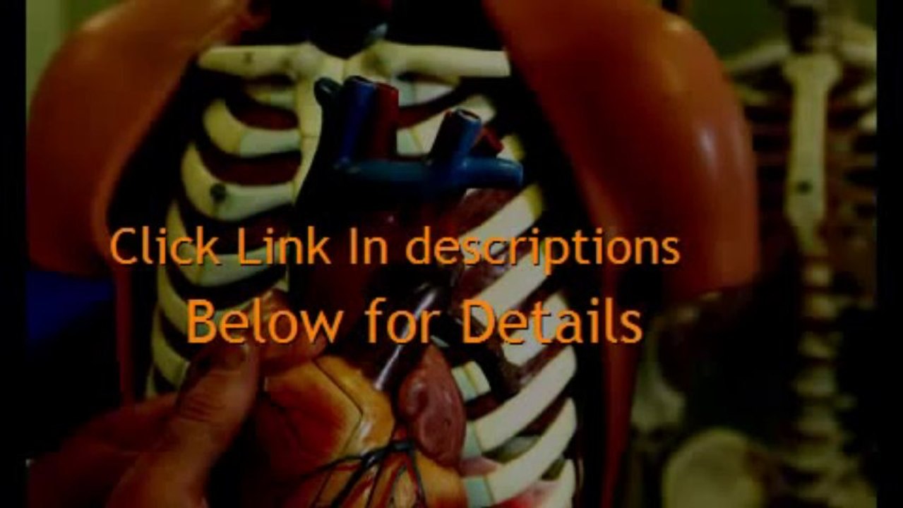 Skull Anatomy - MASTER Human Anatomy Right Now!