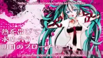 Hatsune Miku - SYSTEMATIC LOVE (Vostfr   Romaji)