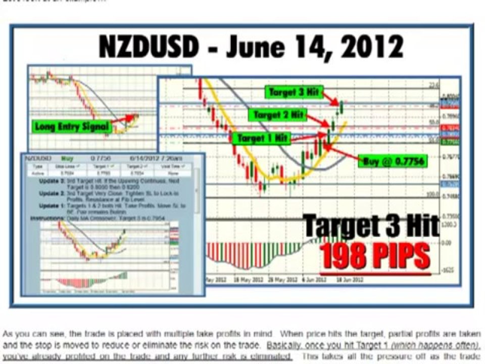 Traders Elite Forex Signals Review
