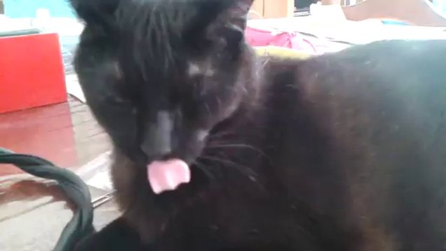 Eclipse ... sans les dents