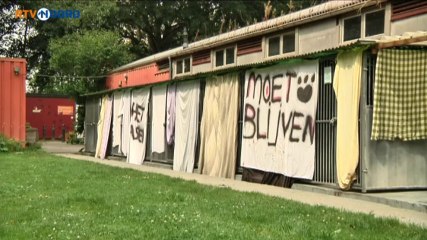 Werknemers dierenasiel Winschoten voeren actie - RTV Noord