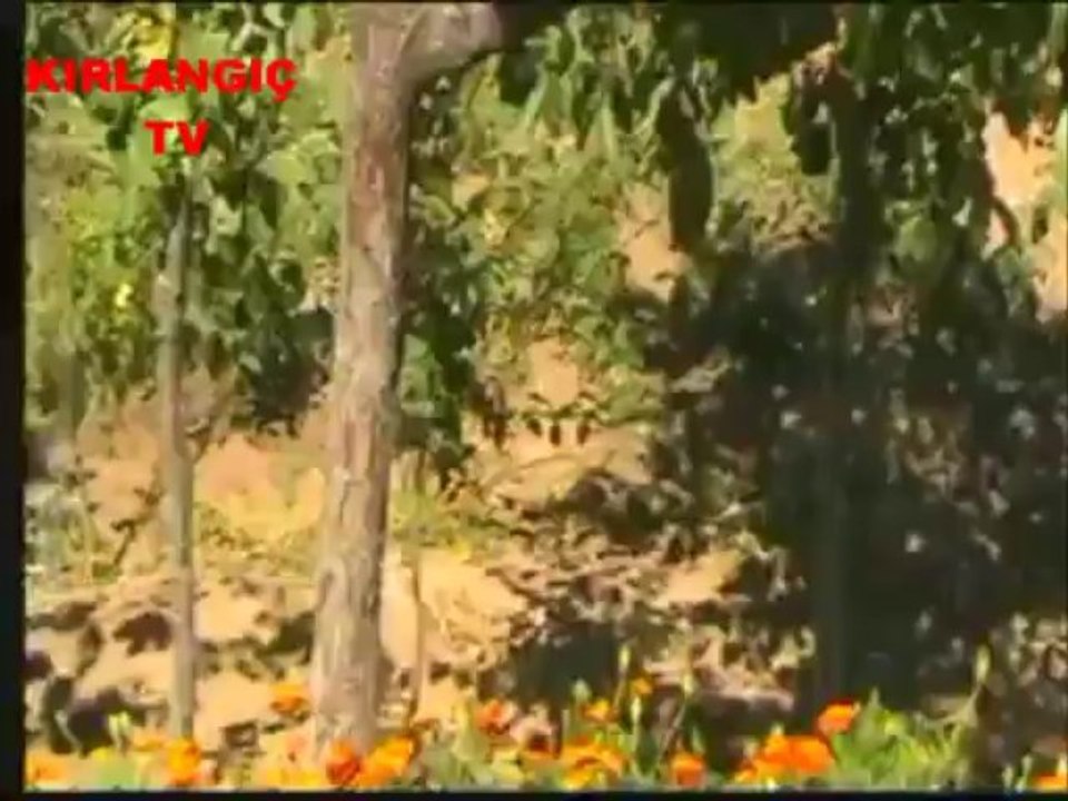 MERHUM HALİL YEŞİLYURT VE SAİT YEŞİLYURT