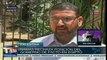 Hamas rechaza acusaciones de Egipto de apoyar a simpatizantes de Mursi