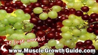 VISUAL IMPACT MUSCLE BUILDING PROGRAM FREE DOWNLOAD
