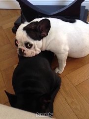 Paula Keek... Ella necesita contacto! - 27 de Julio