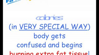 How To Lose Weight with Fat Loss 4 Idiots - Easy Diet For You