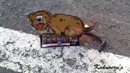 Un feu d'artifice qui fait caca