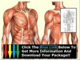 Human Anatomy Physiology Course James Ross Review   Human Anatomy Physiology Course